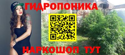 ПСИЛОЦИБИНОВЫЕ ГРИБЫ Комсомольск-на-Амуре