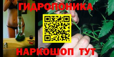 ПСИЛОЦИБИНОВЫЕ ГРИБЫ Комсомольск-на-Амуре