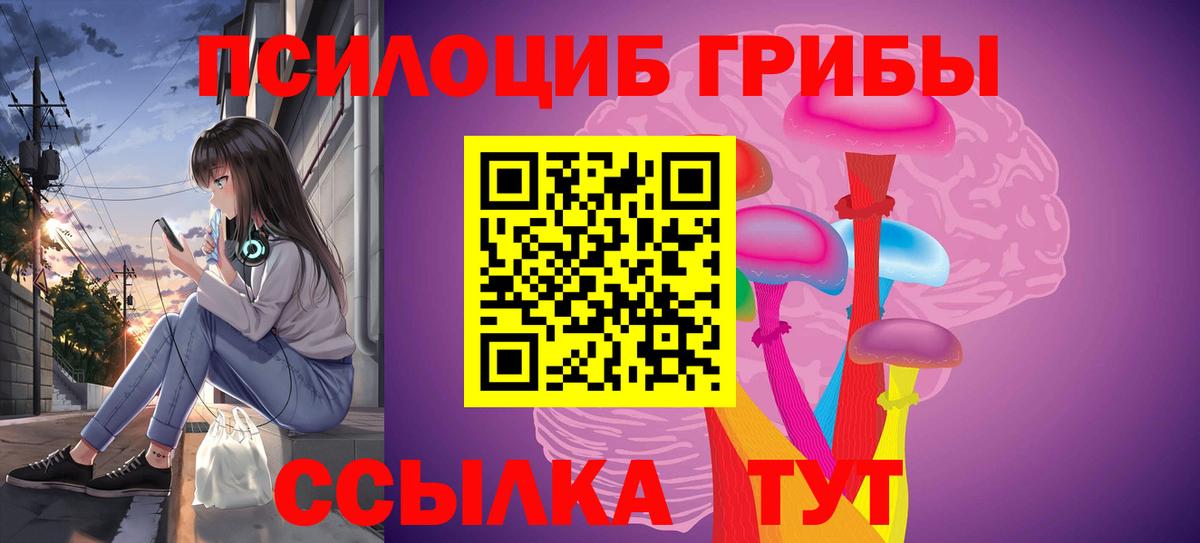 где купить наркоту  Псилоцибиновые грибы Psilocybine cubensis  Вход с VPN  Кингисепп  Псилоцибиновые грибы ЛСД 