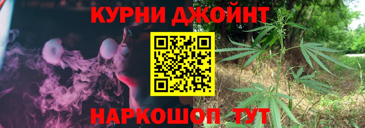 Шишки марихуана марихуана Кингисепп